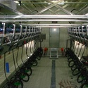 Доильные залы типа ЕвроПаралель 2Х20 с системой управления СТАДА на 1000 дойных голов КРС