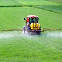 Гербициды, фунгициды, пестициды, десиканты, протравители Низкие цены