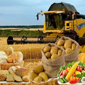Продаётся агро хозяйство в Крыму всего земли-17 000 тыс га