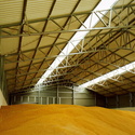  Продаётся база промышленного назначения возле трассы для перевалки зерна. 